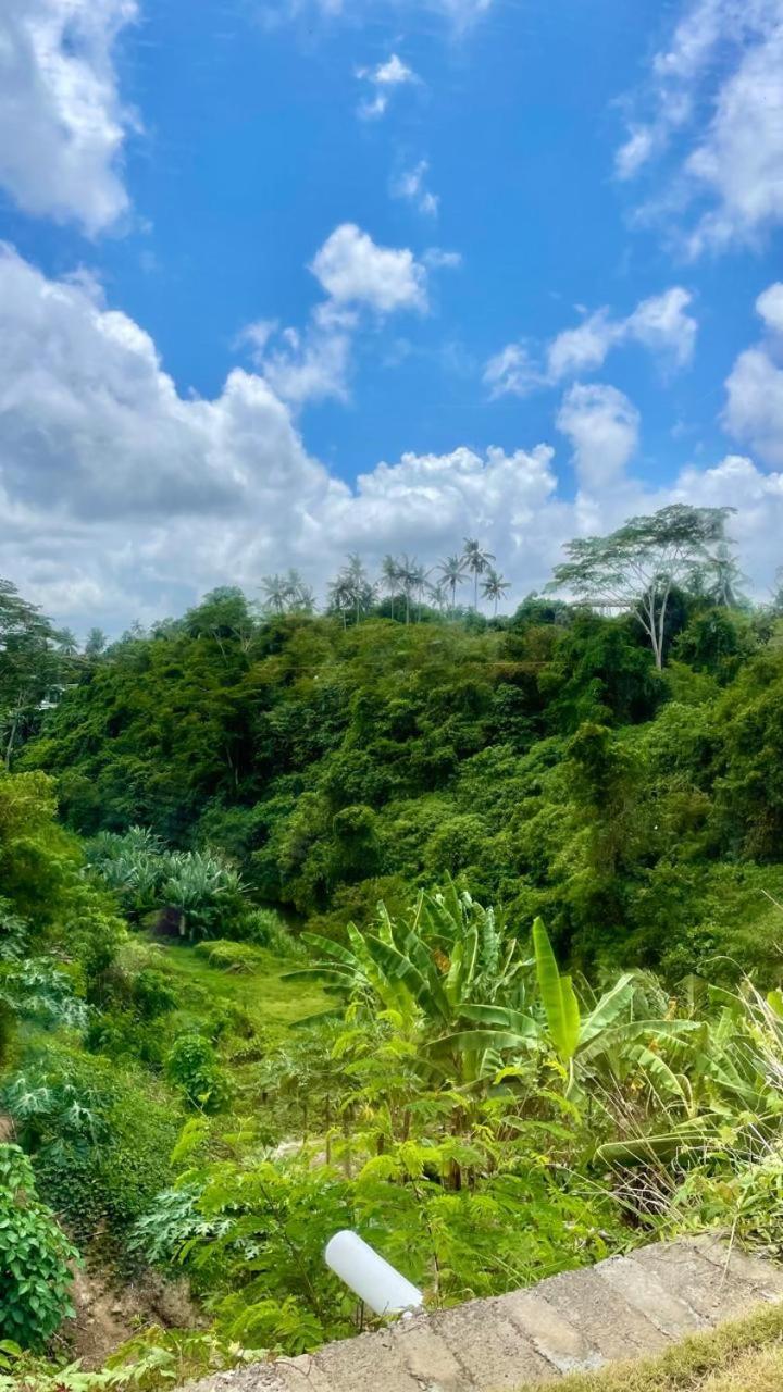 乌布 Solana Wellness Retreat酒店 外观 照片